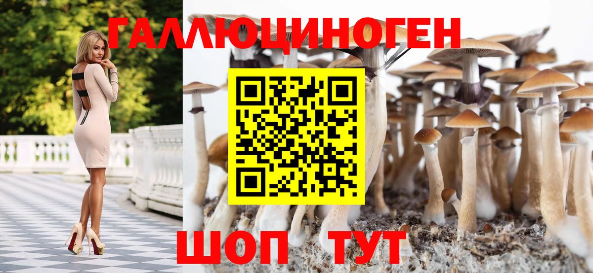 Псилоцибиновые грибы прущие грибы  Вход с VPN  Россошь  Галлюциногенные грибы Magic Shrooms 
